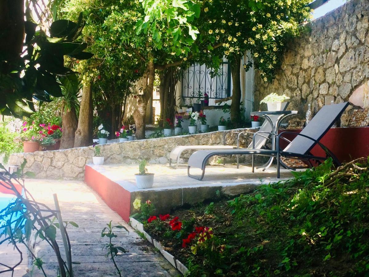 Ermones Odyssesas Bungalow Vátos エクステリア 写真